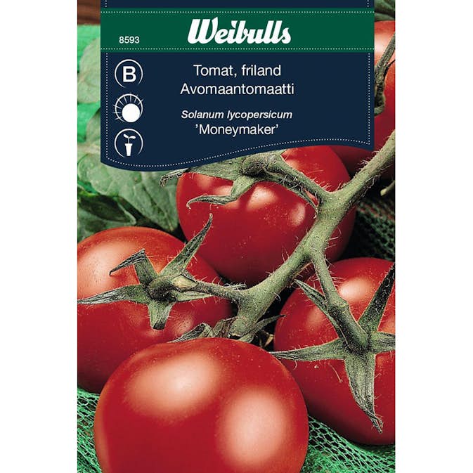 Frö Tomat Weibulls Friland Moneymaker
