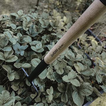 Grep by Benson Deluxe