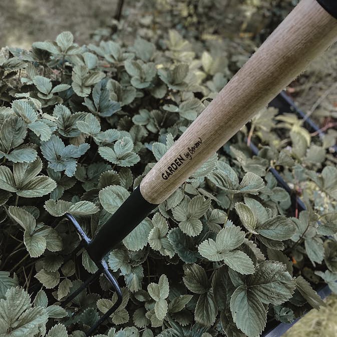 Grep by Benson Deluxe