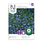 Frö Kantlobelia Nelson Garden Emperor William