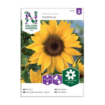 Frö Jättesolros Nelson Garden