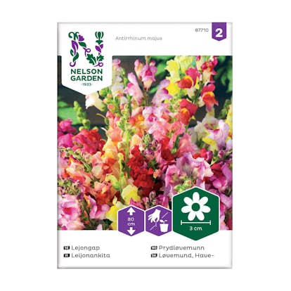 Frö Lejongap Nelson Garden Mix