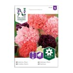 Frö Pionvallmo Nelson Garden Mix