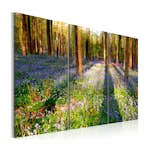 Tavla Arkiio Spring Forest