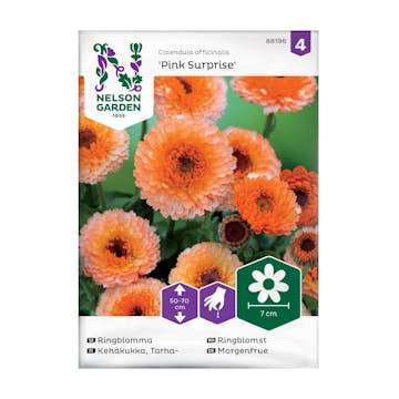 Frö Ringblomma Nelson Garden Pink Surprise