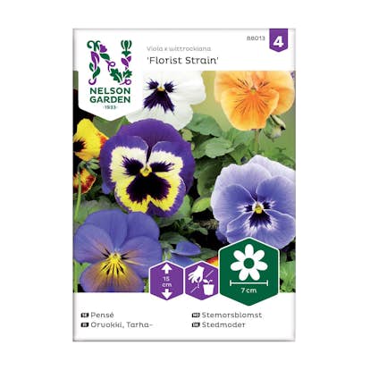 Frö Pensé Nelson Garden Florist Strain Mix