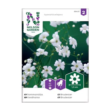 Frö Sommarslöja Nelson Garden Vit