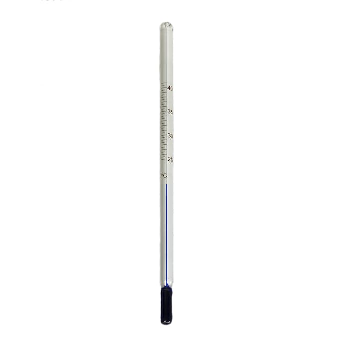 Termometer Brinsea Glas