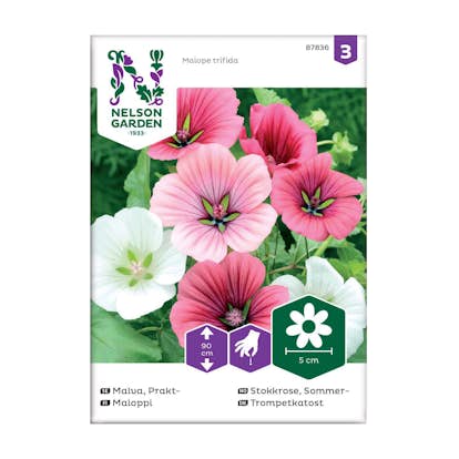 Frö Praktmalva Nelson Garden Mix