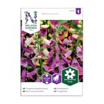 Frö Fingerborgsblomma Nelson Garden Mix