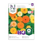 Frö Ringblomma Nelson Garden Fiesta Gitan