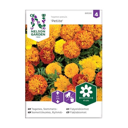 Frö Sammetstagetes Nelson Garden Petite Mix