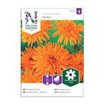 Frö Ringblomma Nelson Garden Radio