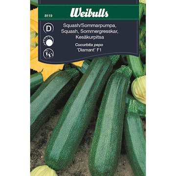 Frö Squash Weibulls Grön