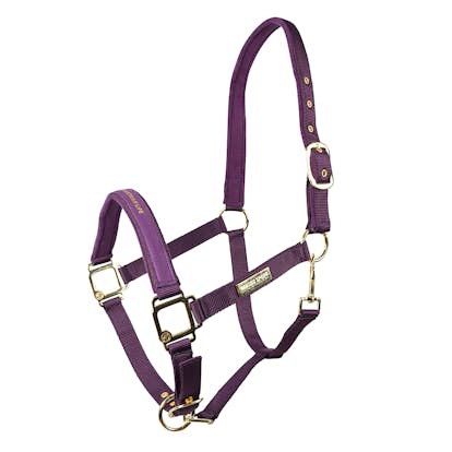 Grimma HANSBO SPORT The Equestrian Life Cob