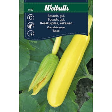 Frö Squash Weibulls Solei