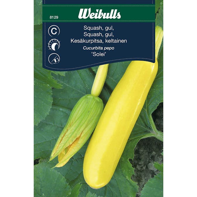 Frö Squash Weibulls Solei