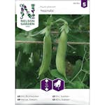 Frö Brytsockerärt Nelson Garden Nairobi