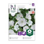 Frö Sommarmalva Nelson Garden Mont Blanc Vit