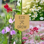 Blomfröer Eco Grow Doftande Trädgårdsblommor Kit 3-pack