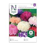 Frö Buskaster Nelson Garden Amerikansk