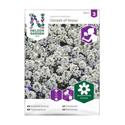 Frö Strandkrassing Nelson Garden Carpet of Snow