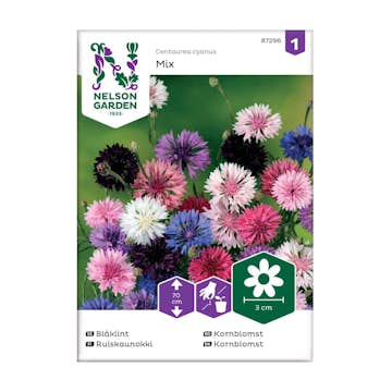 Frö Blåklint Nelson Garden Hög Mix