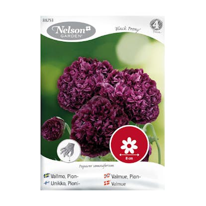 Frö Pionvallmo Nelson Garden Black Peony