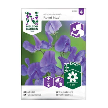 Frö Luktärt Nelson Garden Royal Blue Blå