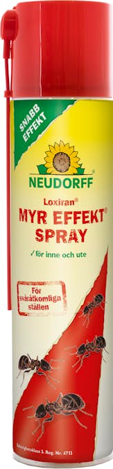 Insektsbekämpning Neudorff Myr Effekt Spray 300 ml