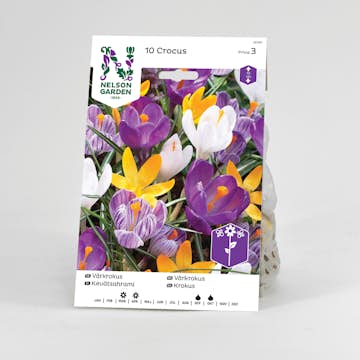 Krokus Nelson Garden Vår Blandade färger