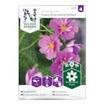 Frö Rosenskära Nelson Fizzy Pink Dark Center