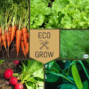 Grönsaksfröer Eco Grow Startkit Trädgårdsfavoriter 5-pack för Odling