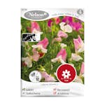 Frö Luktärt Nelson Garden Villa Roma White & Rose