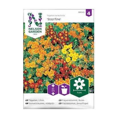 Frö Tagetes Nelson Garden Starfire Mixed