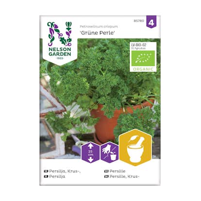 Frö Kruspersilja Nelson Garden Grüne Perle Organic