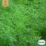 Fröpåse Eco Grow Dill  Common