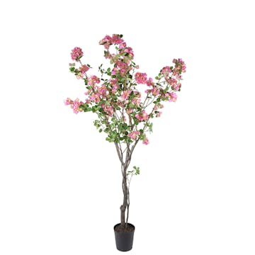 Konstväxt Mr Plant Bougainvillea