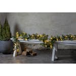 Girlang Star Trading Ottawa