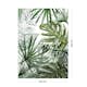 Fototapet Art For The Home Ren Natur Monstera 105400