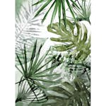 Fototapet Art For The Home Ren Natur Monstera 105400
