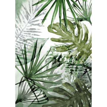 Fototapet Art For The Home Ren Natur Monstera 105400