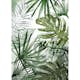 Fototapet Art For The Home Ren Natur Monstera 105400