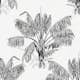 Tapet Superfresco Easy Palm 105752
