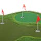 Golfmatta Lyfco Pro Dubbla Greener 4x2m