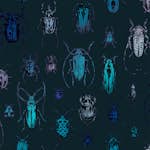 Tapet Superfresco Easy Superfresco Easy Bugs Blå