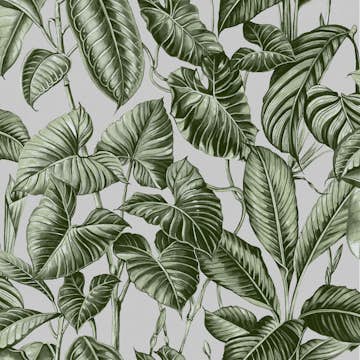 Tapet Superfresco Easy Noani Grön