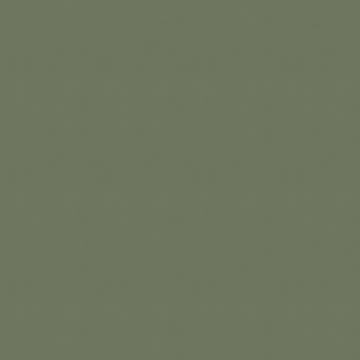 Tapet Superfresco Easy Noani Plain Grön