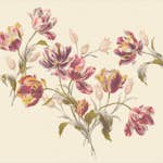 Fototapet Laura Ashley Gosford 300x280cm