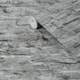 Tapet NEXT Contemporary Brick Grey